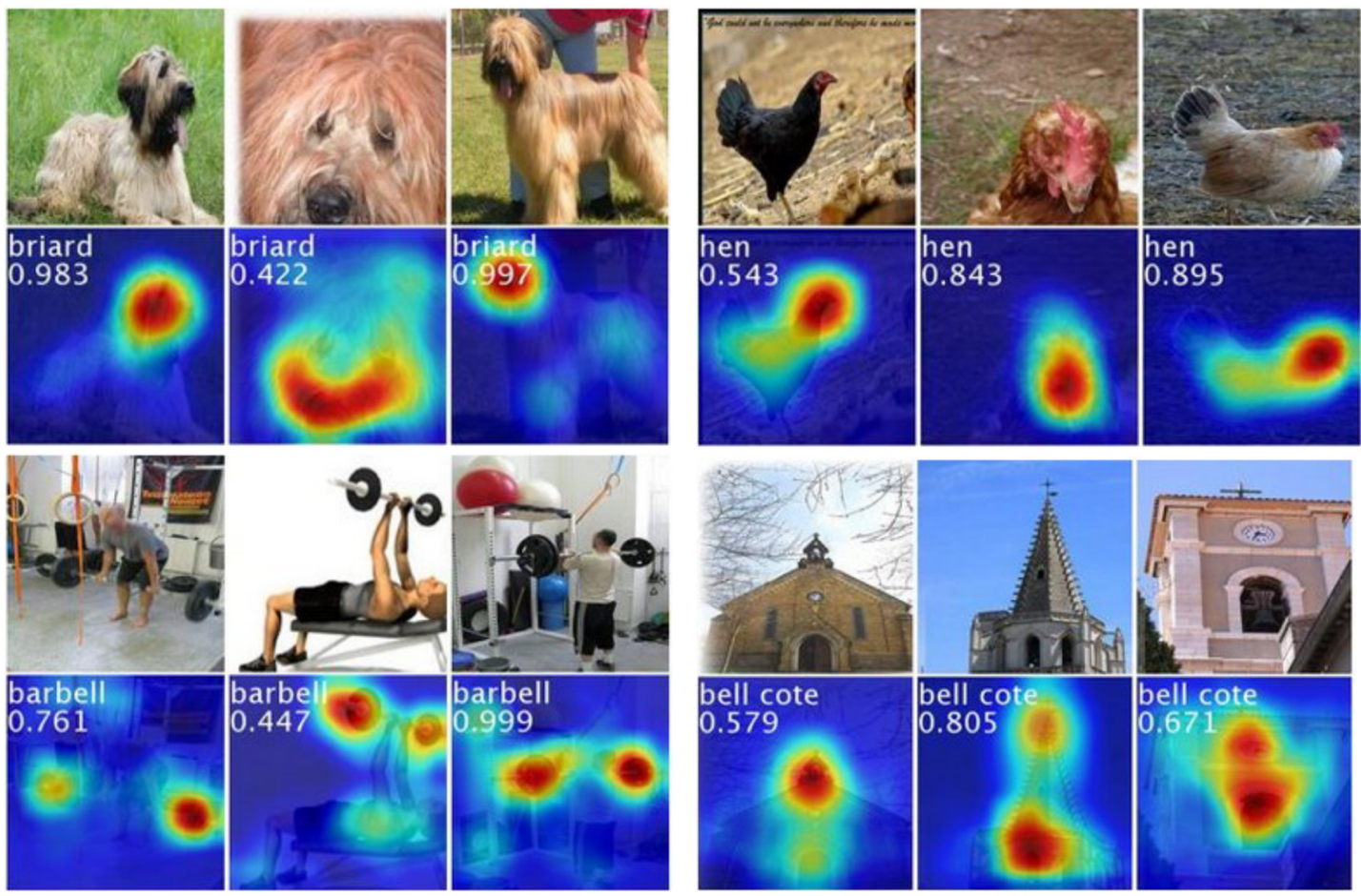 图3：ILSVRC 数据集上的一些 CAM 图示例